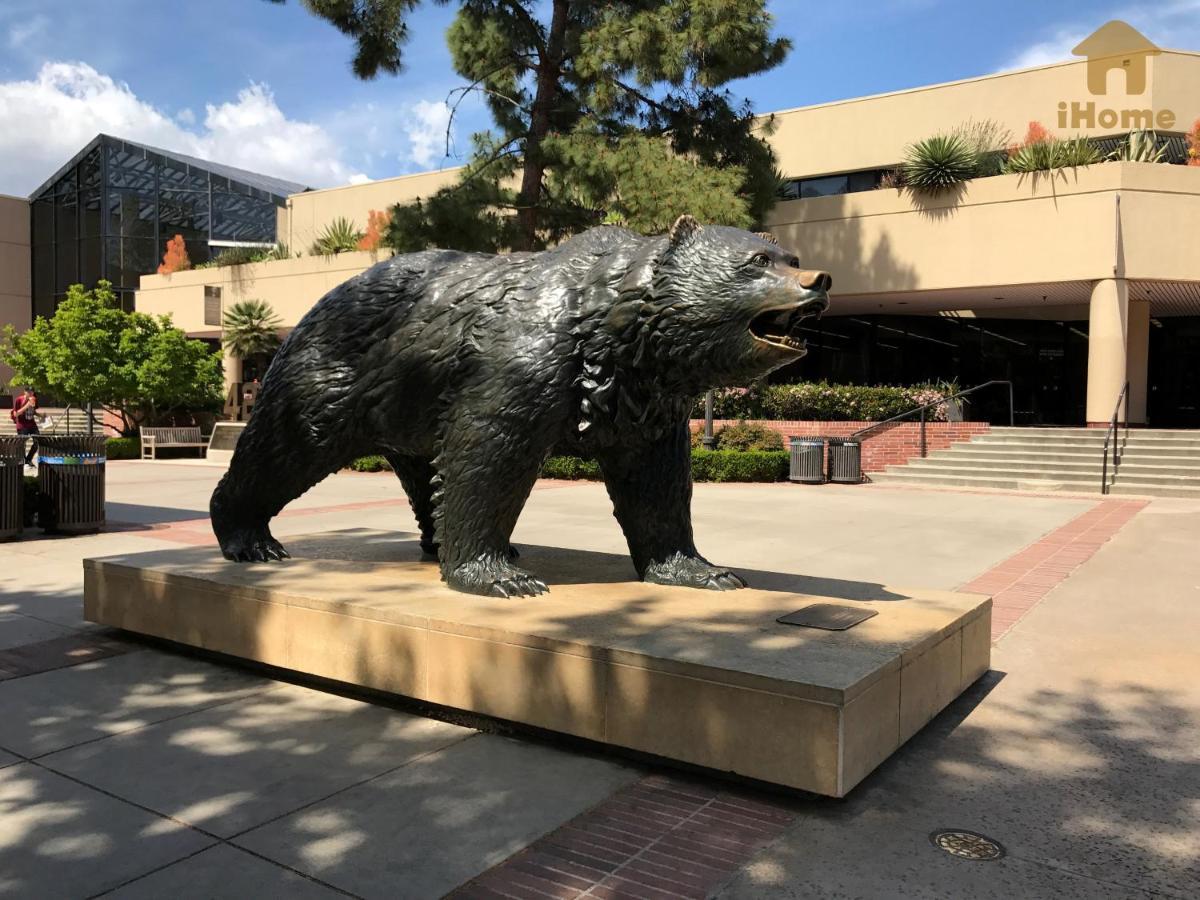 Resort Style amenities walk to UCLA w Pool&Parking B2 Los Angeles Zewnętrze zdjęcie